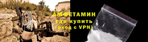 прущие грибы Абаза