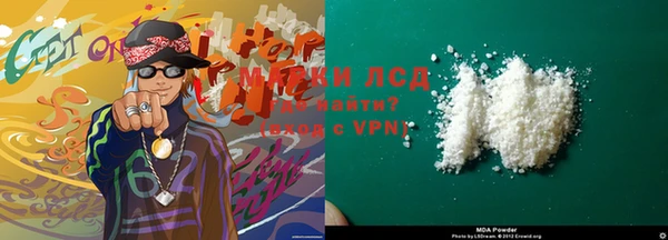 прущие грибы Абаза