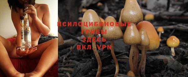 гашиш Алексеевка
