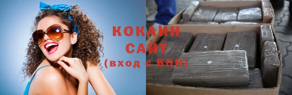 прущие грибы Абаза