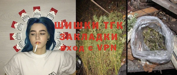 прущие грибы Абаза