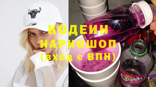 прущие грибы Абаза