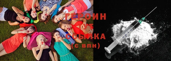 прущие грибы Абаза