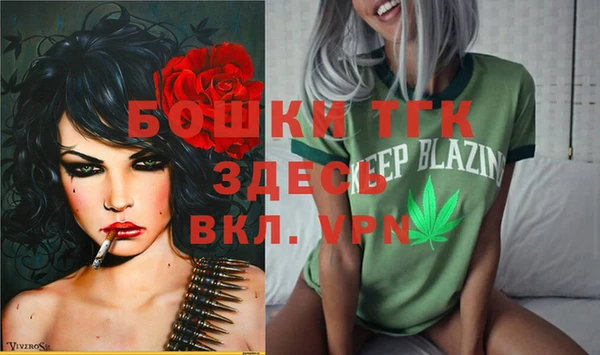 прущие грибы Абаза