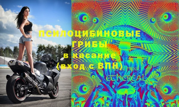 меф Алексин