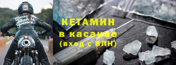 прущие грибы Абаза