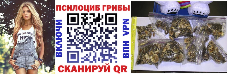Псилоцибиновые грибы прущие грибы  Инсар 